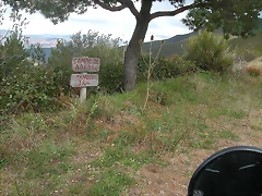 campa abedul campa abedul
