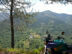 DSCN2133 DSCN2133