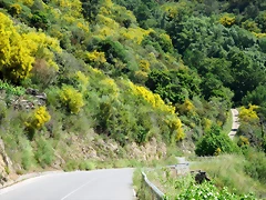 IMG_2782 IMG_2782