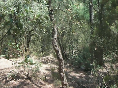 PICT0065