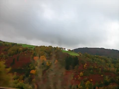 DSCN5869 DSCN5869