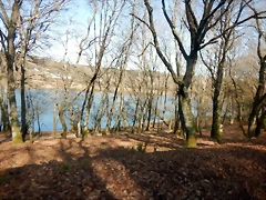 DSCN2877 DSCN2877