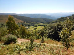 DSCN7615