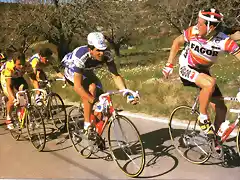 1989 - Criterium Internacional. Miguel Induran, ganador