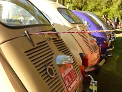 P1050795 P1050795