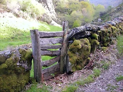 DSCN9090 DSCN9090