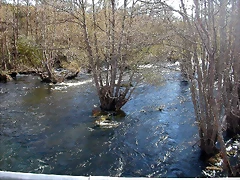 DSCN6445 DSCN6445