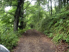 DSCN4766 DSCN4766