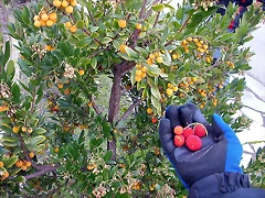 DSCN9700 DSCN9700