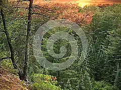 sunset-two-rivers-trail-algonquin-park-canada-26190930
