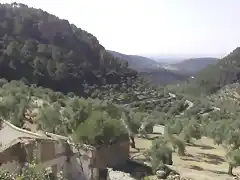 soller bajada bunyola