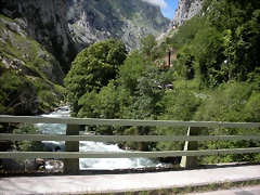 DSCN8238 DSCN8238