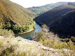 DSCN4701 DSCN4701