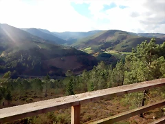 DSCN0879 DSCN0879