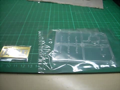 DSCN2650 DSCN2650