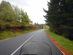 DSCN0553 DSCN0553