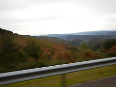 DSCN8367