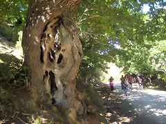 IMG_0190 IMG_0190