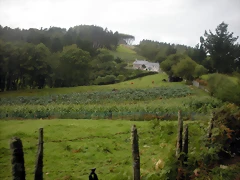 DSCN8355 DSCN8355