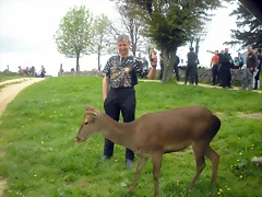 DSCN4661 DSCN4661