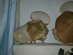 fa2