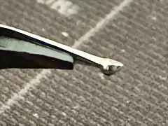 Nib
