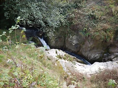 DSCN0480 DSCN0480