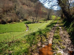 DSCN9060.JPEG DSCN9060.JPEG