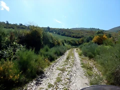 DSCN4841 DSCN4841