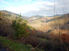 DSCN3294 DSCN3294