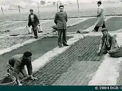 MU-0459 Labores de siembra en el vivero forestal de Cartagena. Colocaci?n de estiercol, como fertilizante, en el hoyo donde se han colocado las semillas 1948