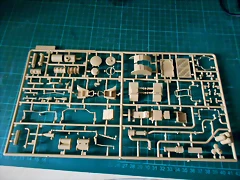 DSCN6289
