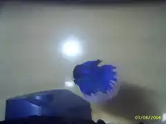 betta met1