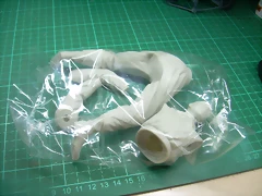 DSCN2290