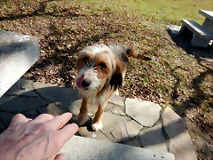 DSCN2852 DSCN2852