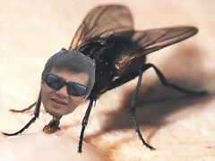 acuamosca acuamosca