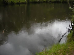 DSCN4158 DSCN4158
