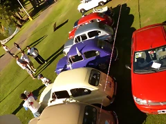 P1050793 P1050793