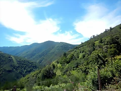 DSCN8210 DSCN8210