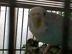 IMG00015-20101008-1623