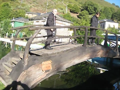 IMG_0976 IMG_0976