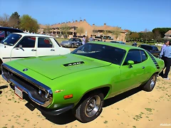 Moco verde