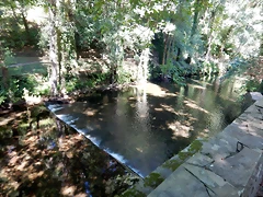 DSCN0303 DSCN0303