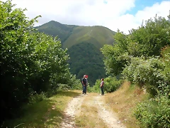 DSCN4321 DSCN4321