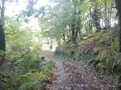 DSCN4455 DSCN4455