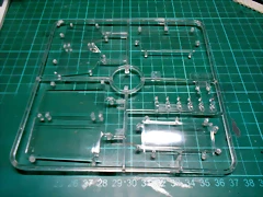 DSCN5545 DSCN5545