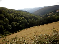 DSCN4421 DSCN4421