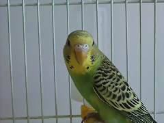 P220610_17.330002