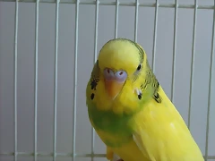 P220610_17.330005