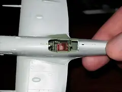 20250503_155517 20250503_155517